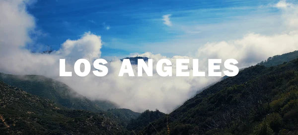 EVERYDAY CYCLING IN LA