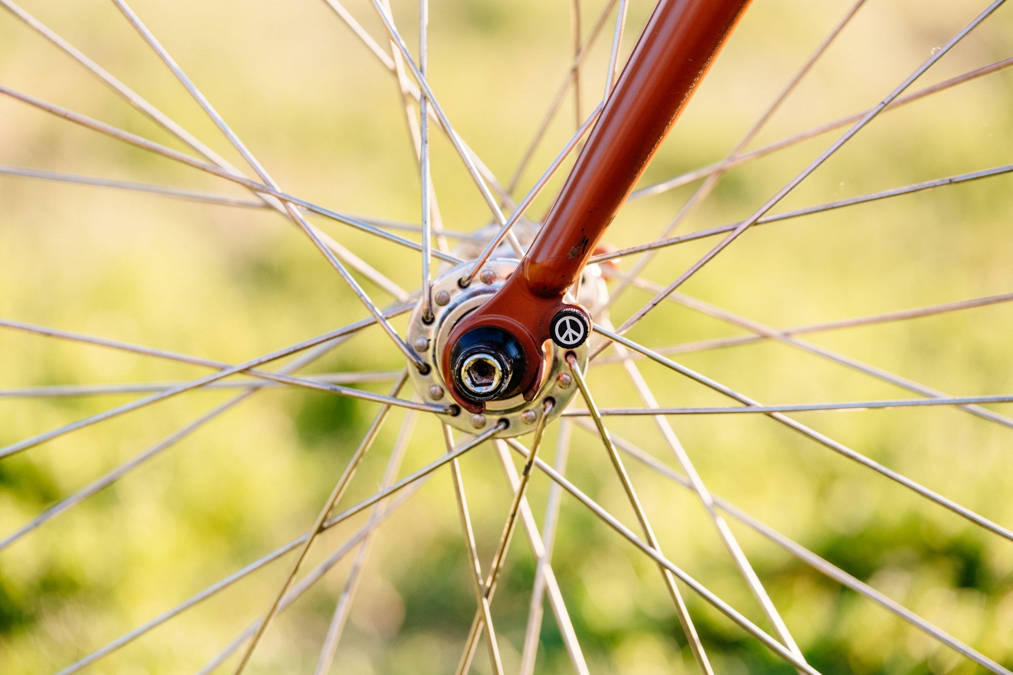 ビリーヤド Zit Bitz Frame Bolts | Portland Design Works