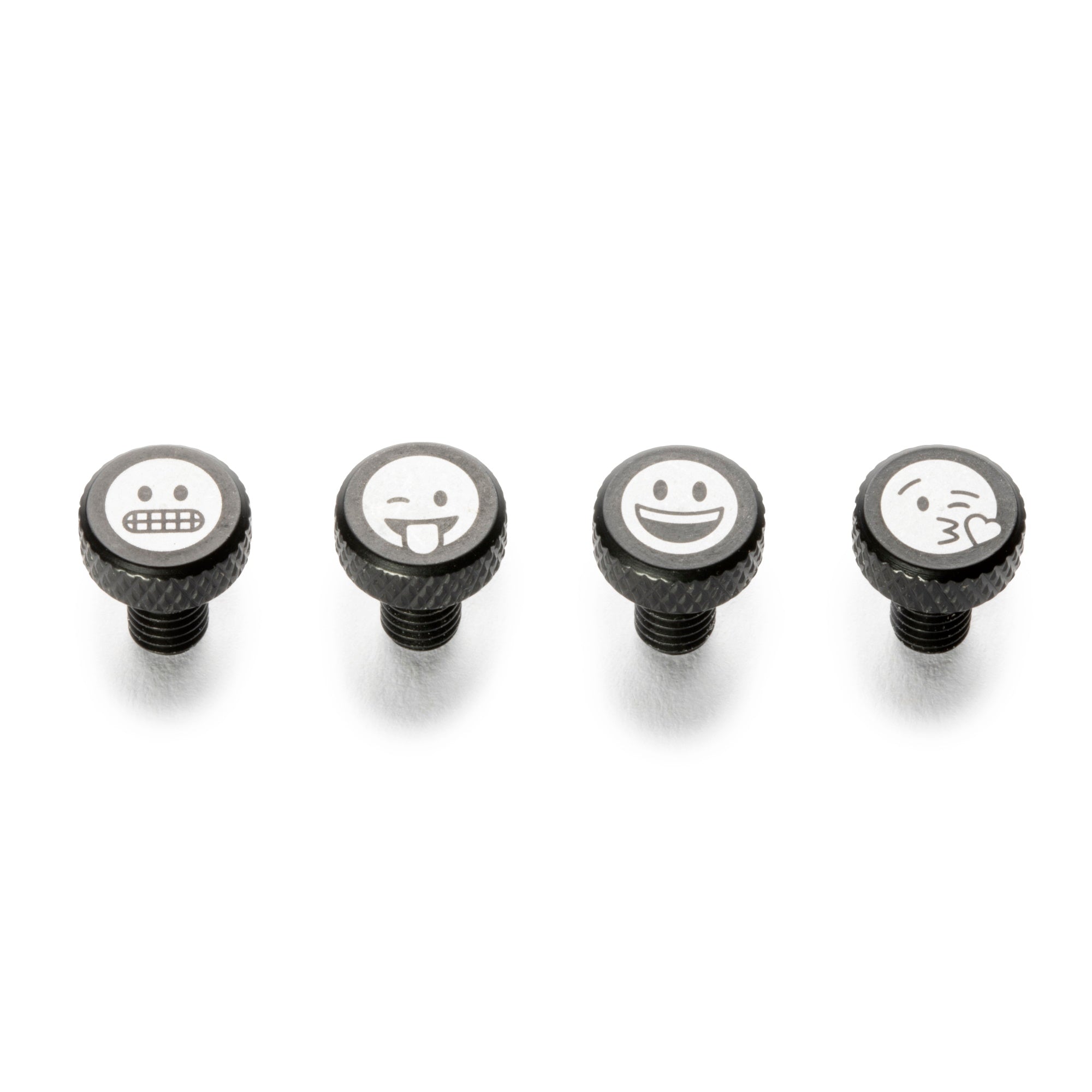 Zit Bitz Frame Bolts | Portland Design Works