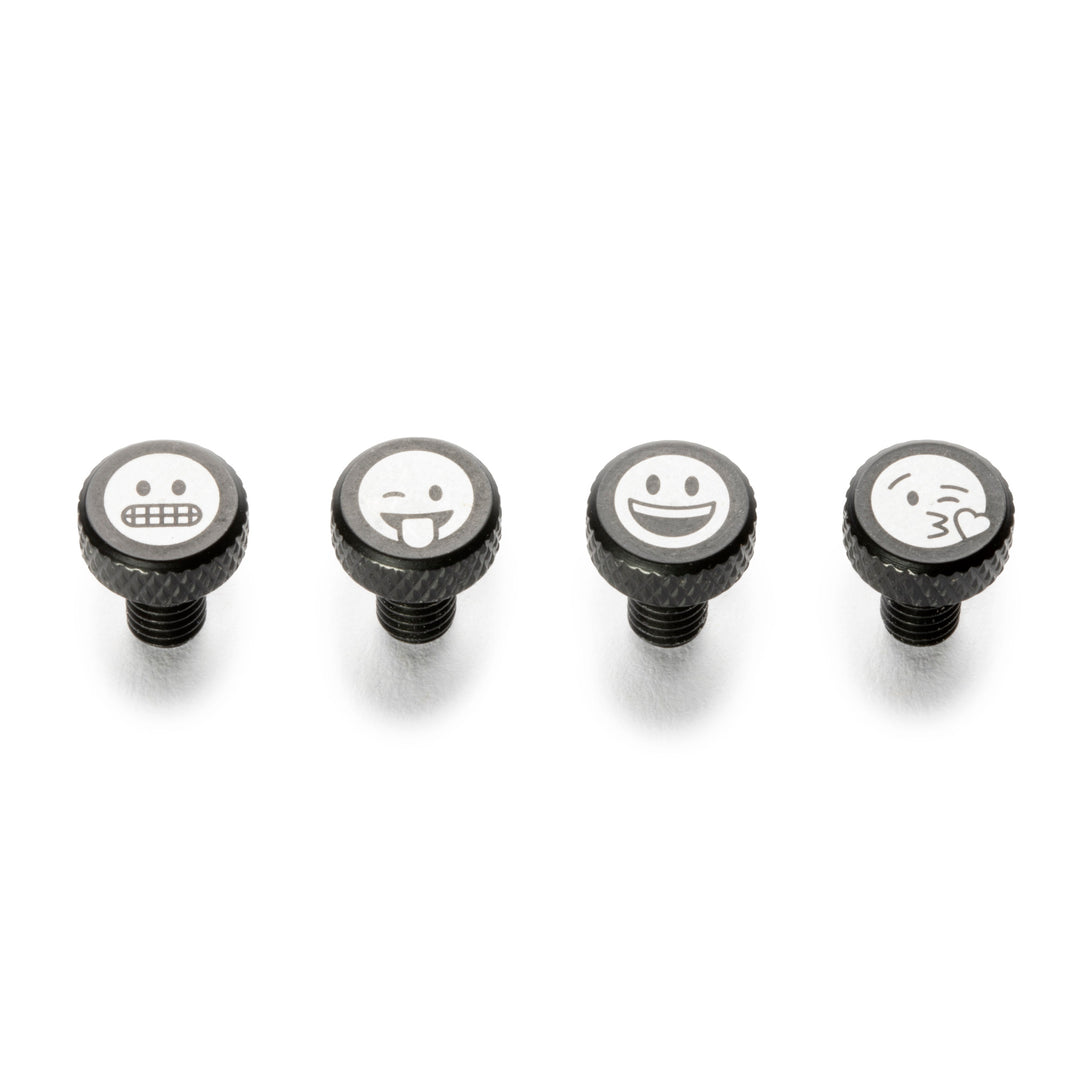 Zit Bitz Frame Bolts | Portland Design Works